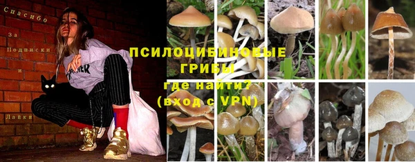 дурь Арсеньев