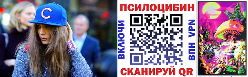 Псилоцибиновые грибы мицелий  Солнечногорск 